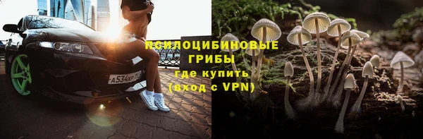 МДПВ Алексин
