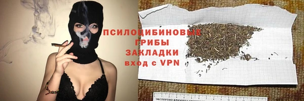 PSILOCYBIN Алзамай