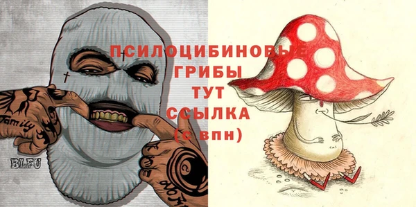 МДПВ Алексин
