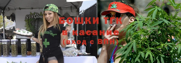PSILOCYBIN Алзамай