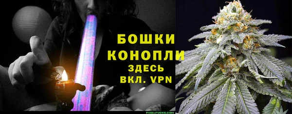 PSILOCYBIN Алзамай