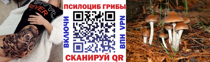 Галлюциногенные грибы GOLDEN TEACHER  как найти наркотики  Архангельск 