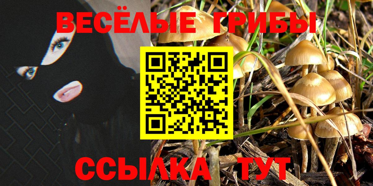 Галлюциногенные грибы Psilocybe Архангельск