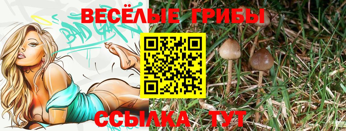 Архангельск  Галлюциногенные грибы Psilocybine cubensis  Вход с VPN  Галлюциногенные грибы ЛСД 